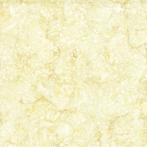 CAFP369605A