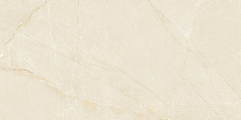 C61001A-61002B