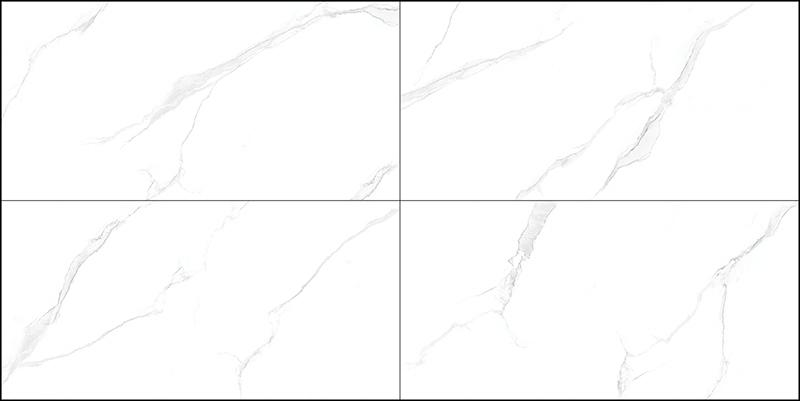 HCDPA47901